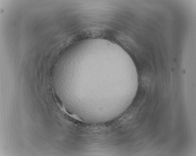 X0000070420865200606302059