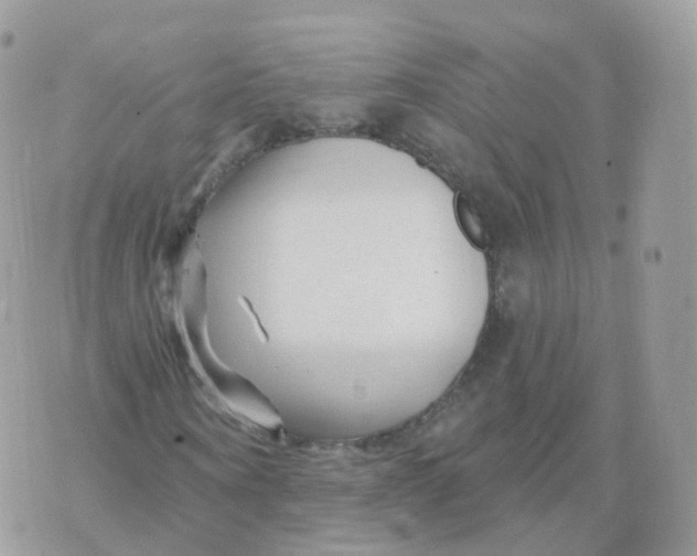 X0000070420866200606302059