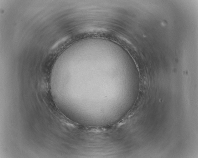 X0000070420869200606302059