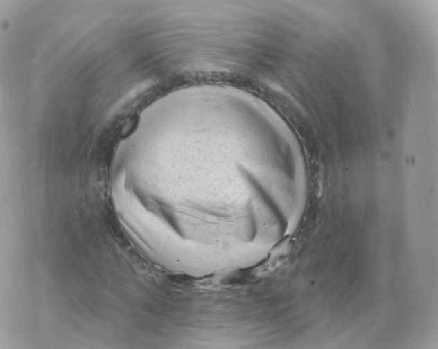 X0000070420870200606302059