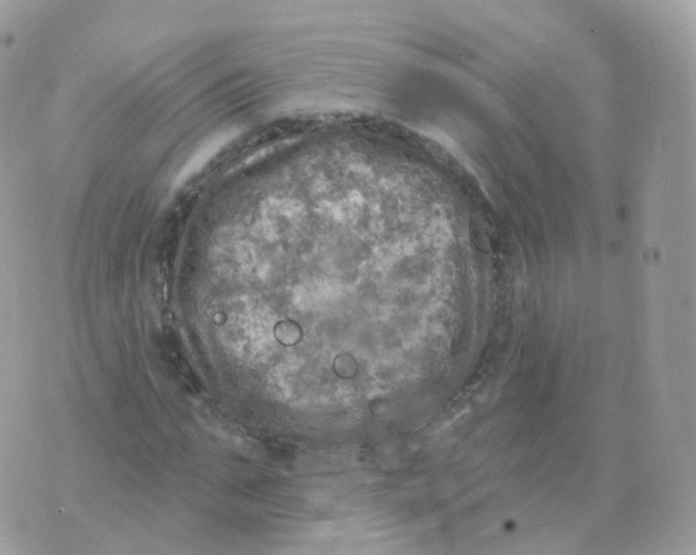 X0000070420871200606302058