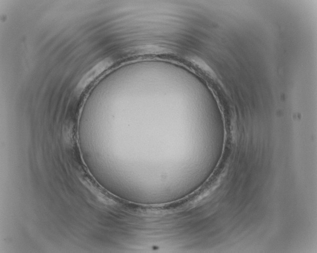 X0000070420873200606302058