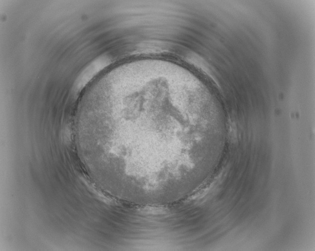 X0000070420874200606302058