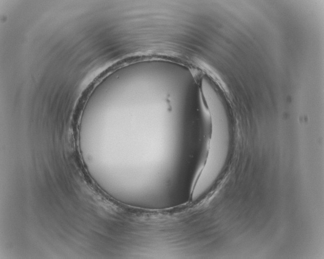 X0000070420876200606302058