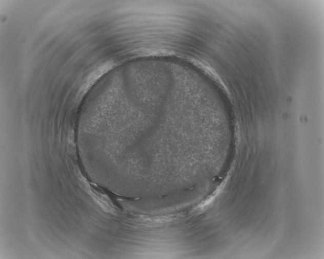 X0000070420881200606302058