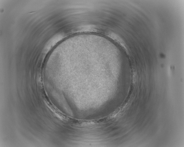 X0000070420882200606302058