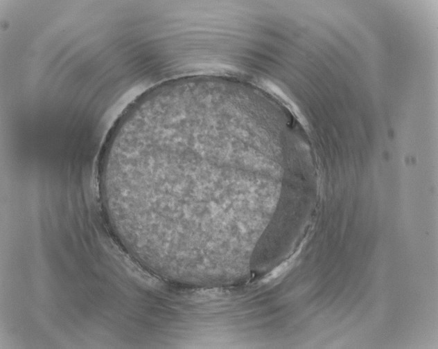 X0000070420883200606302058