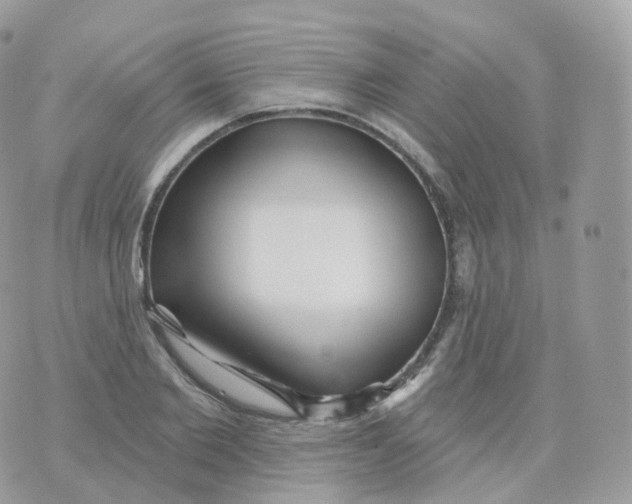 X0000070420885200606302058