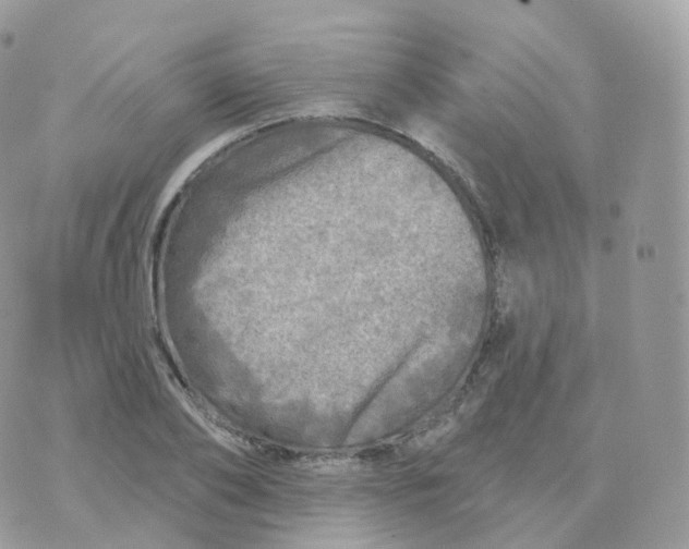 X0000070420886200606302058