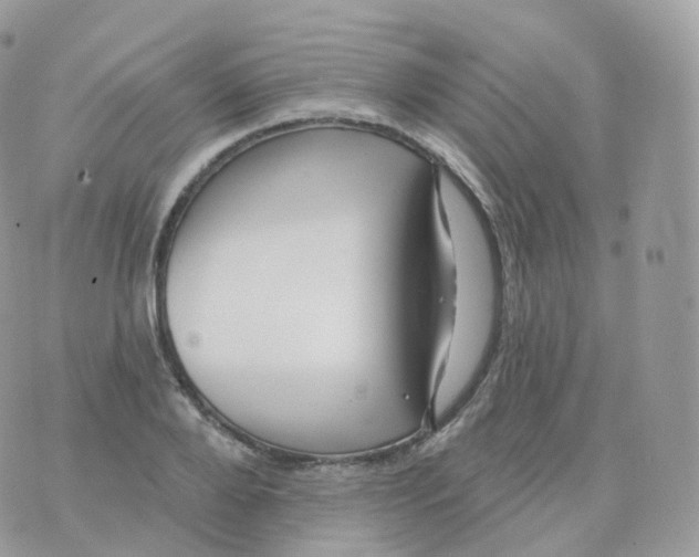 X0000070420888200606302058