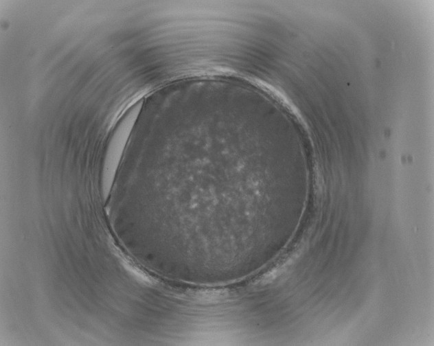 X0000070420889200606302058