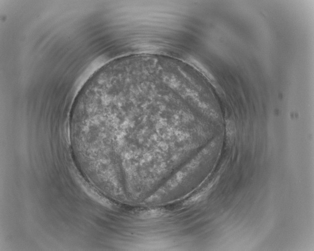 X0000070420891200606302058