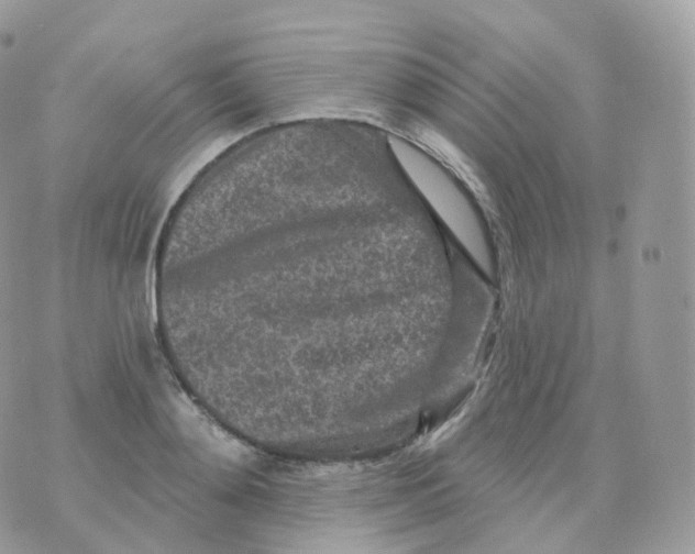 X0000070420892200606302058