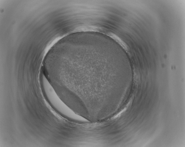 X0000070420893200606302058