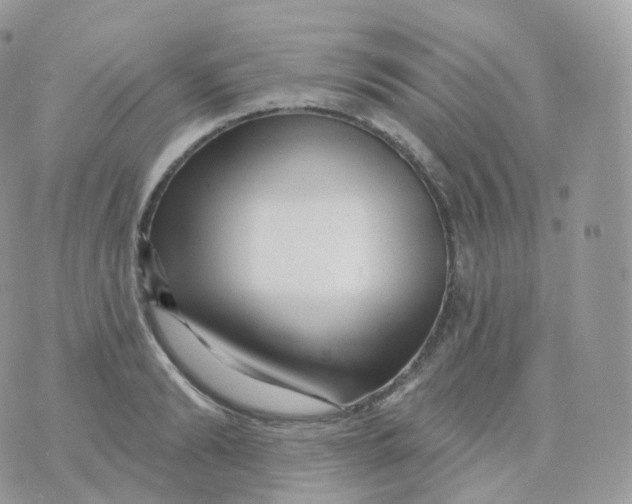 X0000070420894200606302058