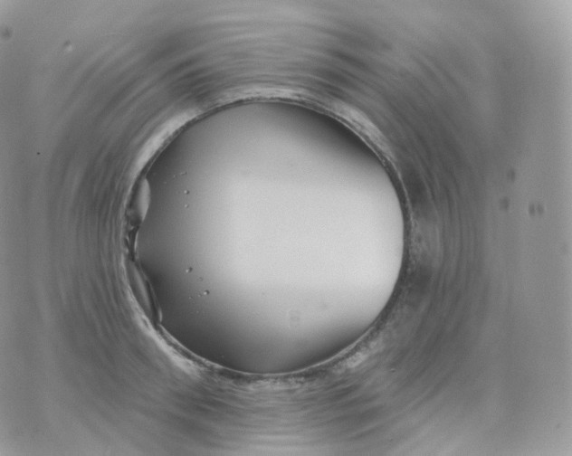 X0000070420898200606302058