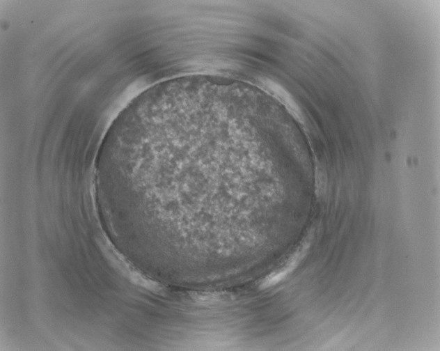 X0000070420899200606302058