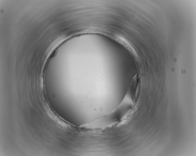 X0000070420900200606302058