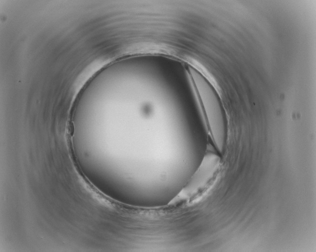 X0000070420901200606302058