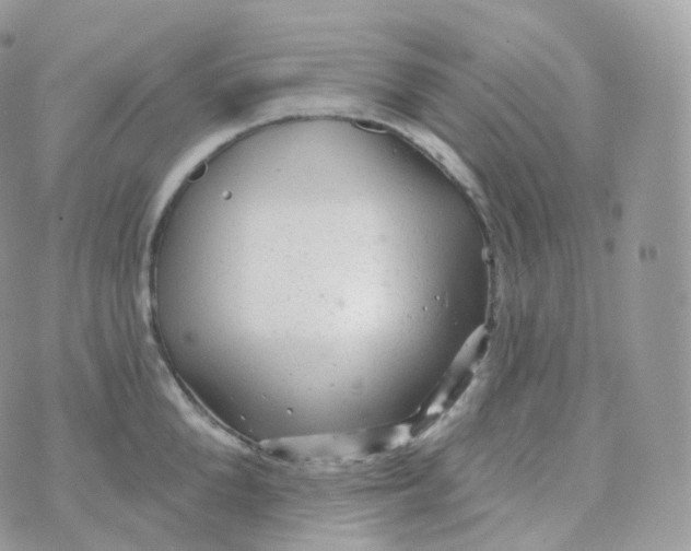 X0000070420904200606302058