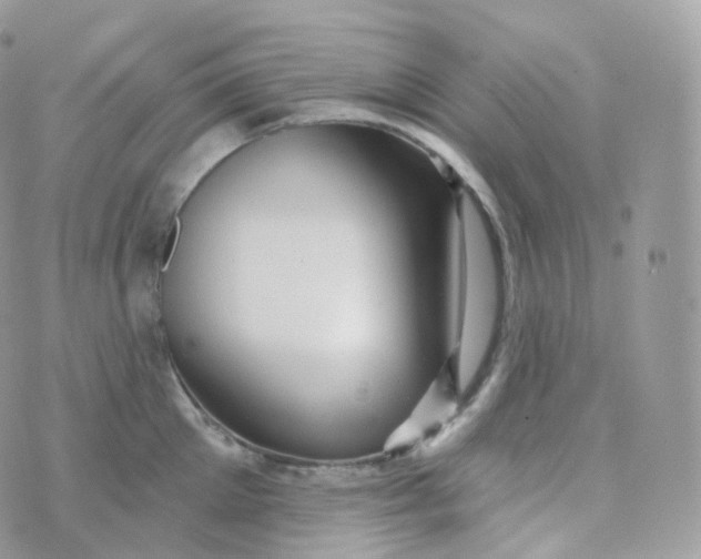 X0000070420905200606302058