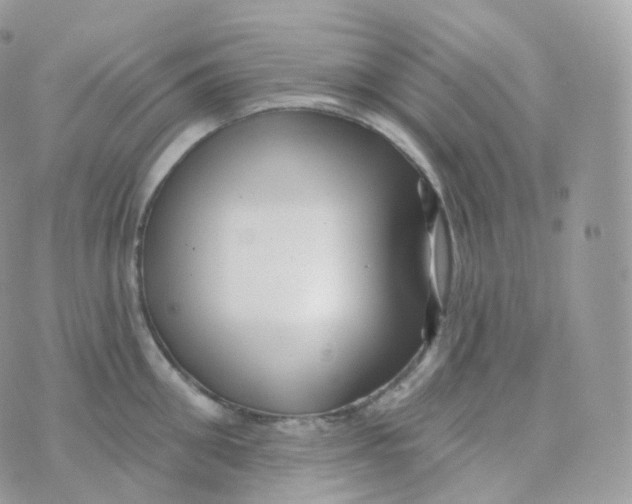 X0000070420906200606302058