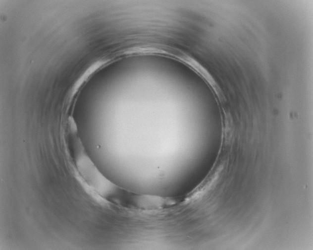 X0000070420909200606302058