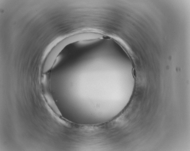 X0000070420910200606302058