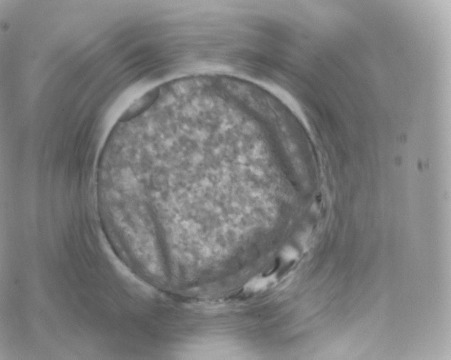 X0000070420911200606302058