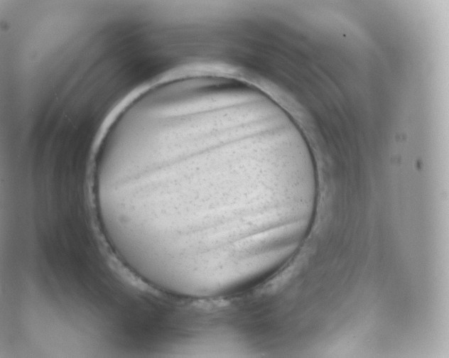 X0000070420912200606302058