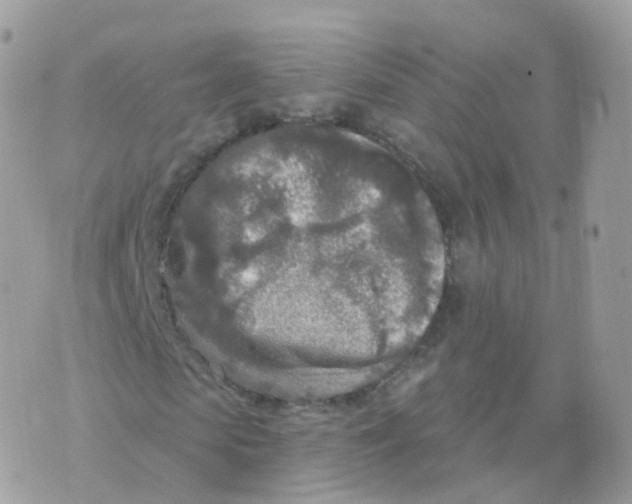 X0000070420913200606302057