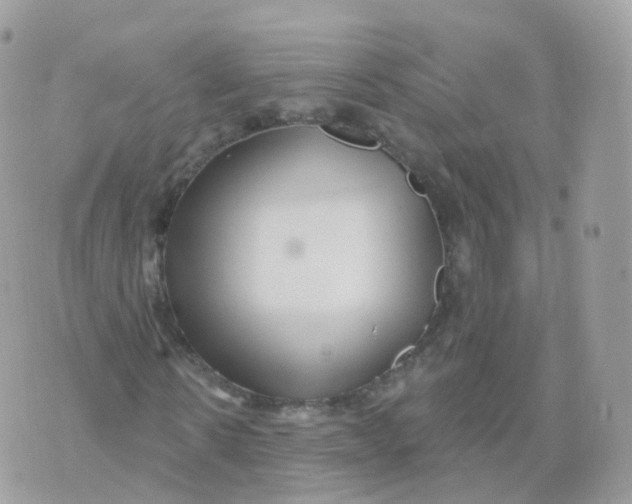 X0000070420914200606302057