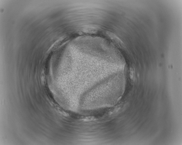 X0000070420915200606302057