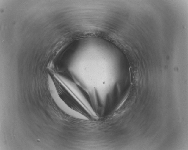 X0000070420916200606302057