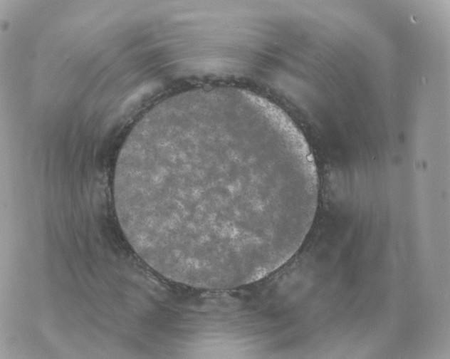 X0000070420918200606302057