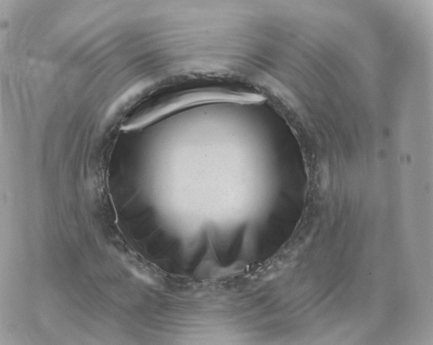 X0000070420920200606302057