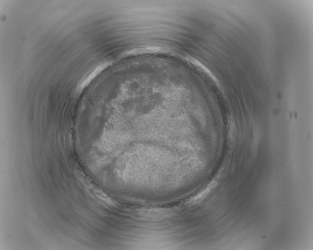 X0000070420921200606302057