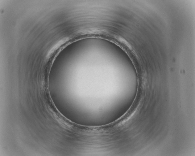 X0000070420922200606302057