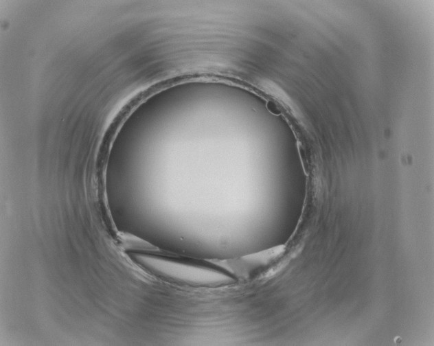 X0000070420924200606302057