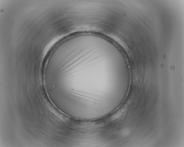 X0000070420927200606302057