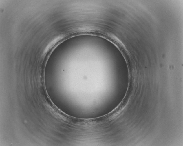 X0000070420930200606302057