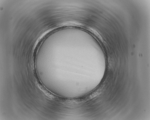 X0000070420931200606302057