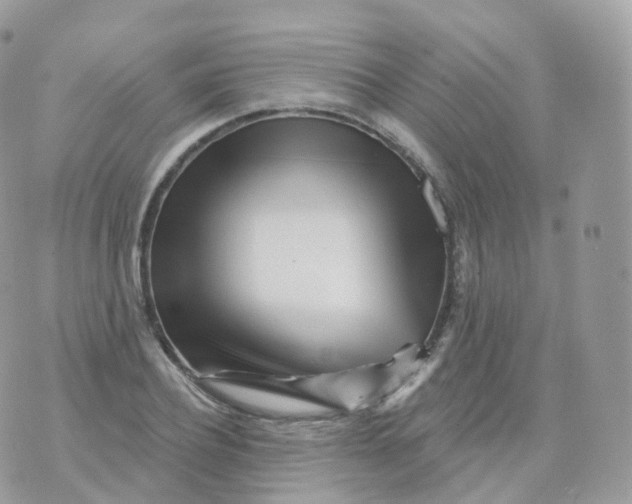 X0000070420932200606302057