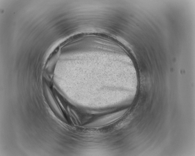 X0000070420935200606302057