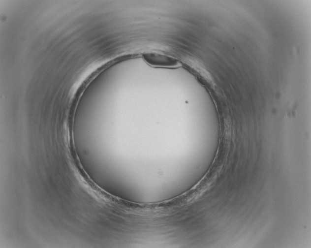 X0000070420936200606302057