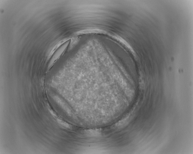 X0000070420937200606302057