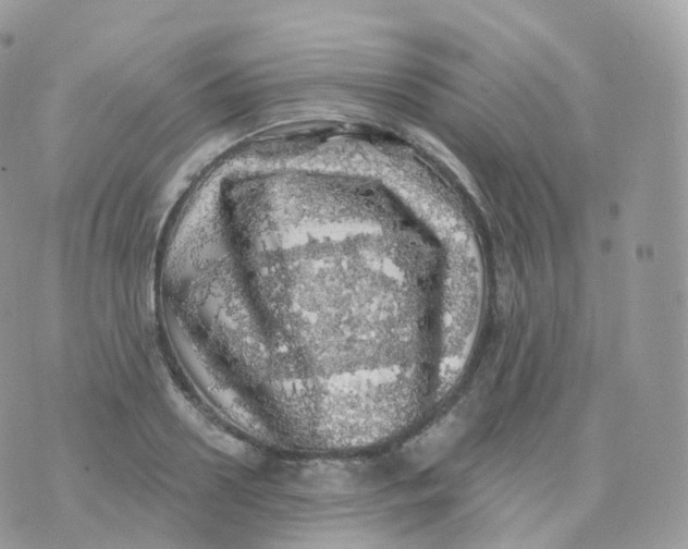 X0000070420938200606302057