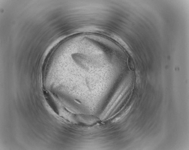 X0000070420939200606302057