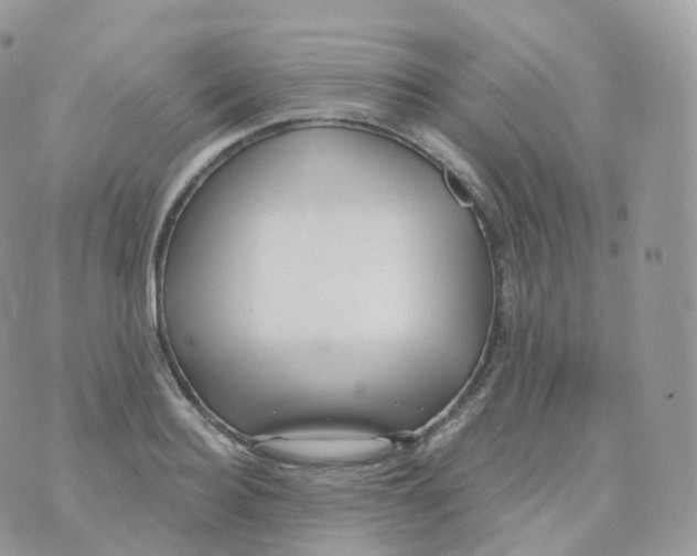 X0000070420940200606302057