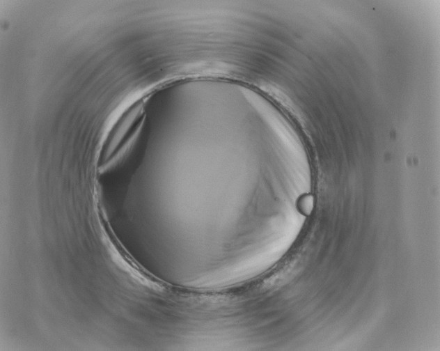 X0000070420941200606302058